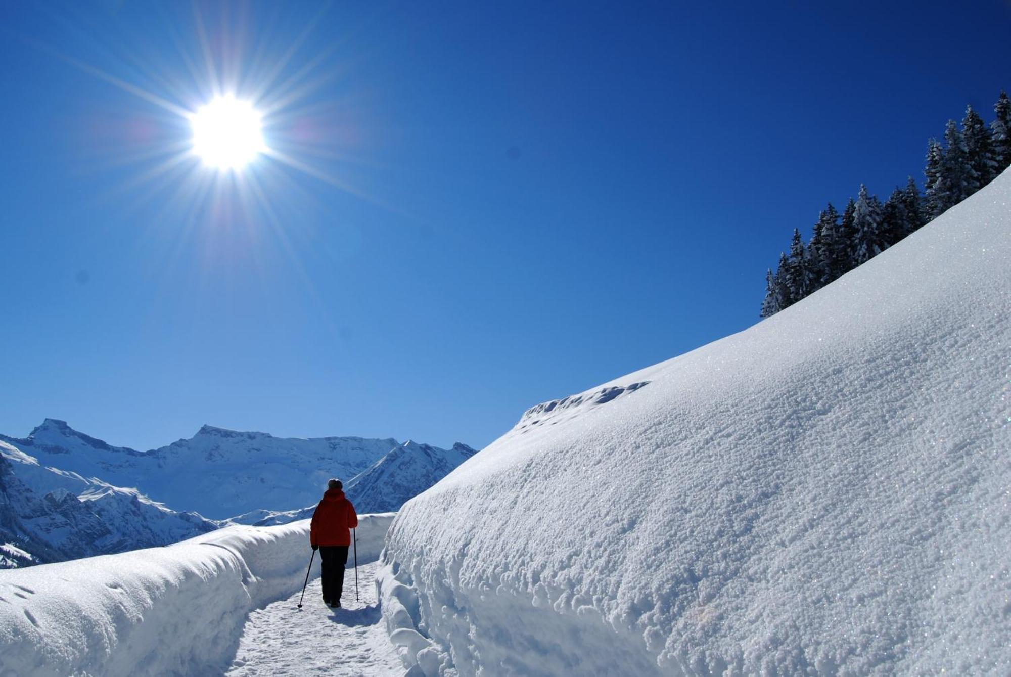Bellevue Parkhotel & Spa - Relais & Chateaux Adelboden Buitenkant foto